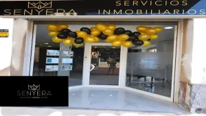 Inmobiliaria Senyera